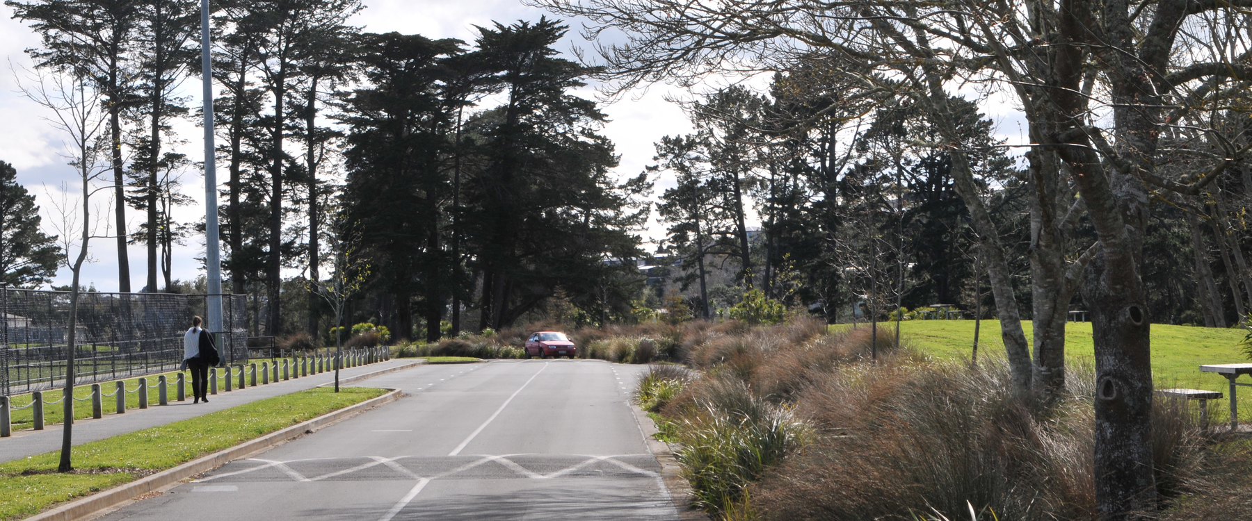 Parrs Park, Auckland