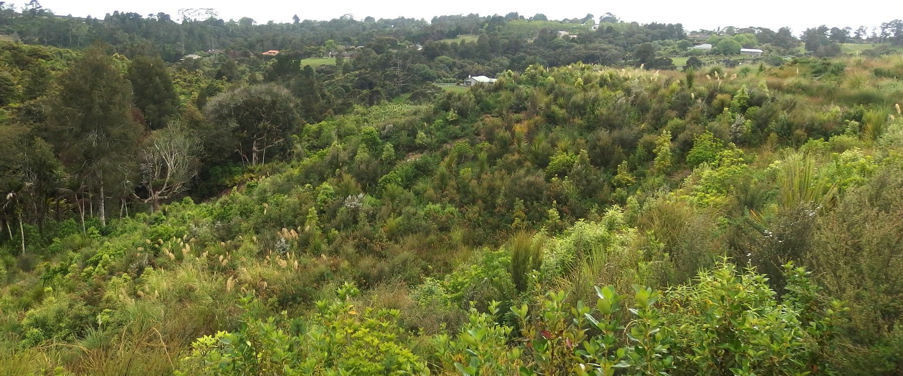 Griggs Road Residential 