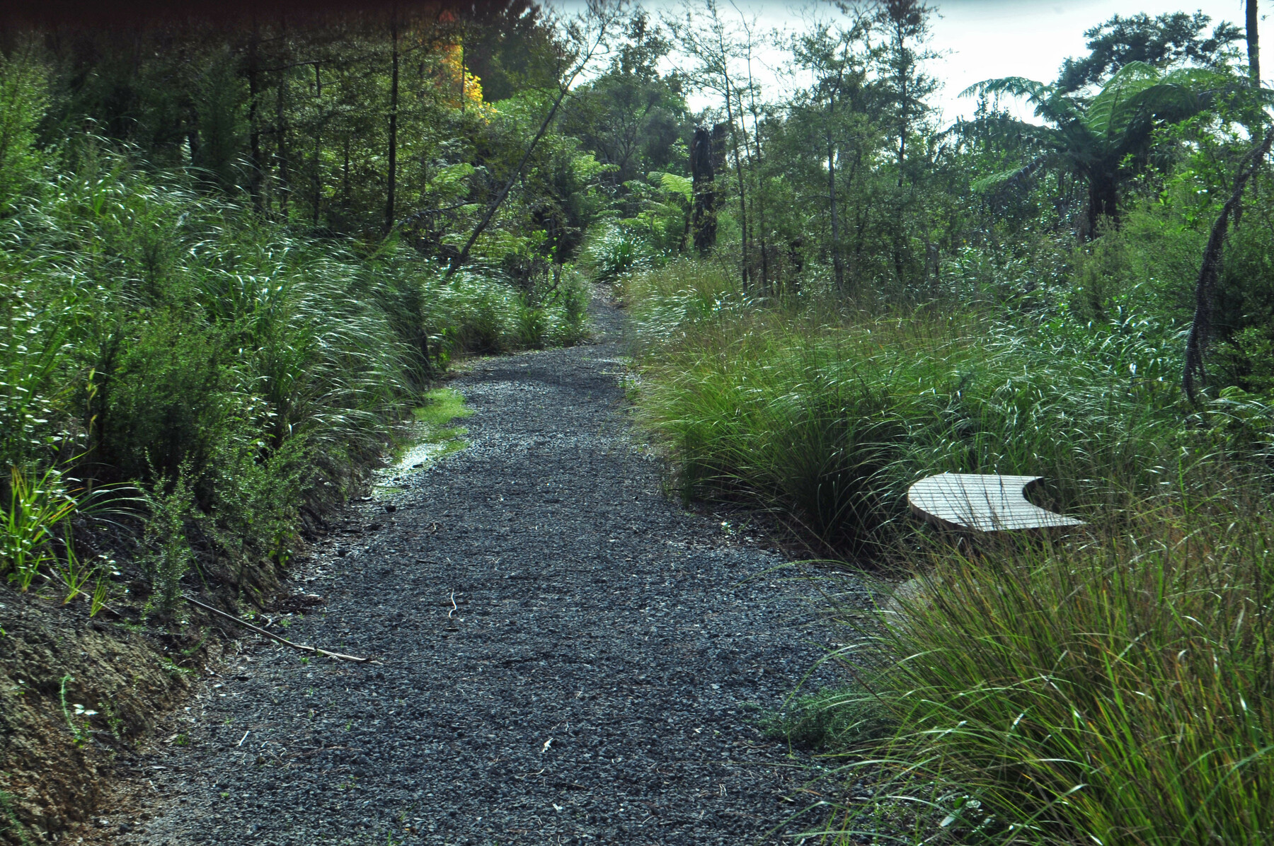 Waikumete