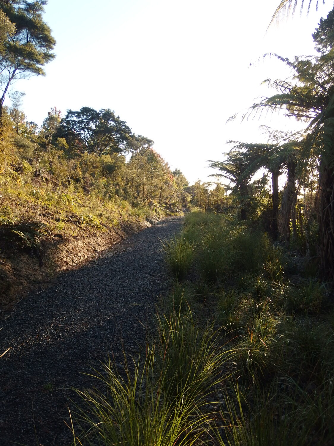 Waikumete