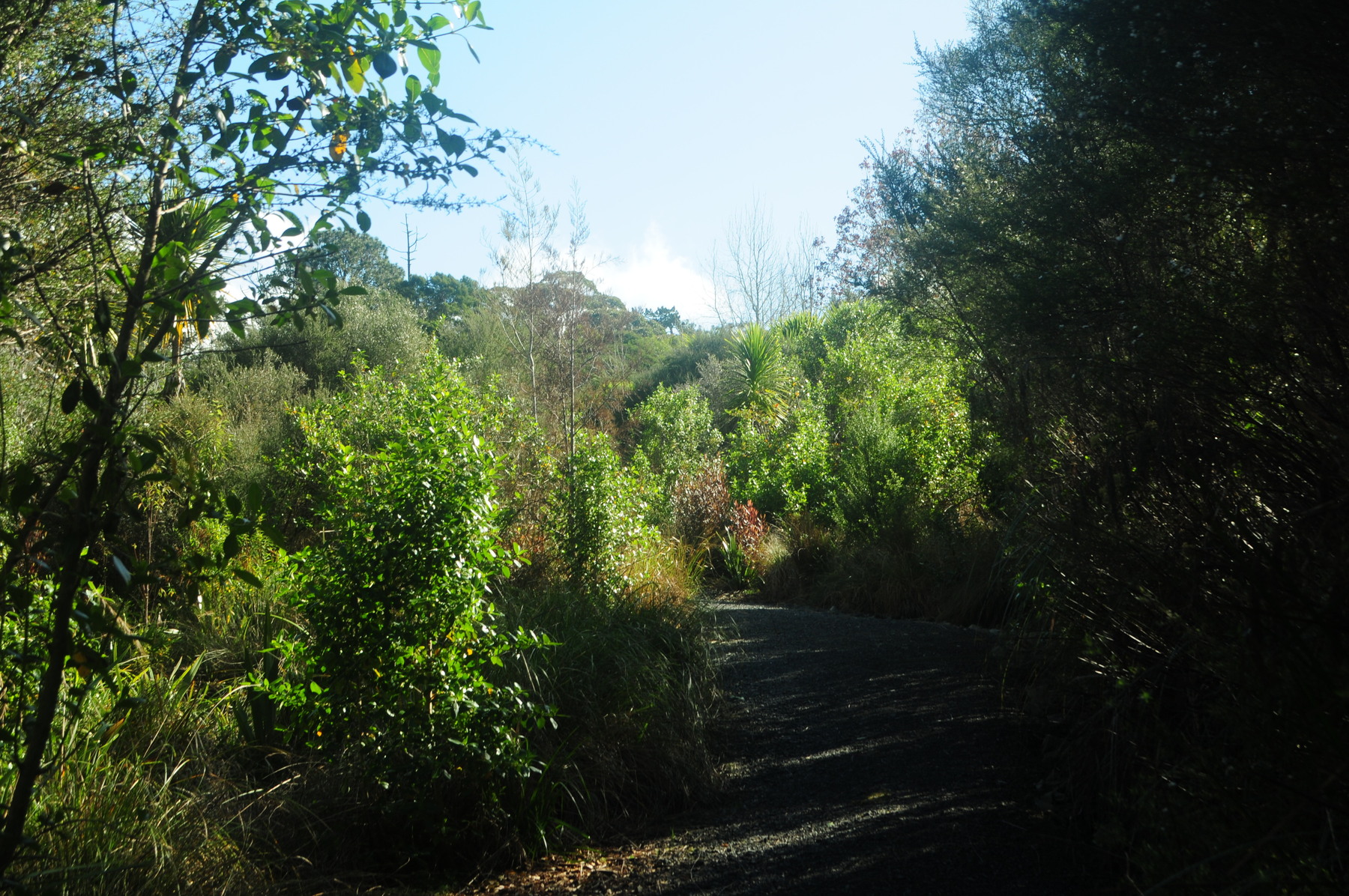 Waikumete